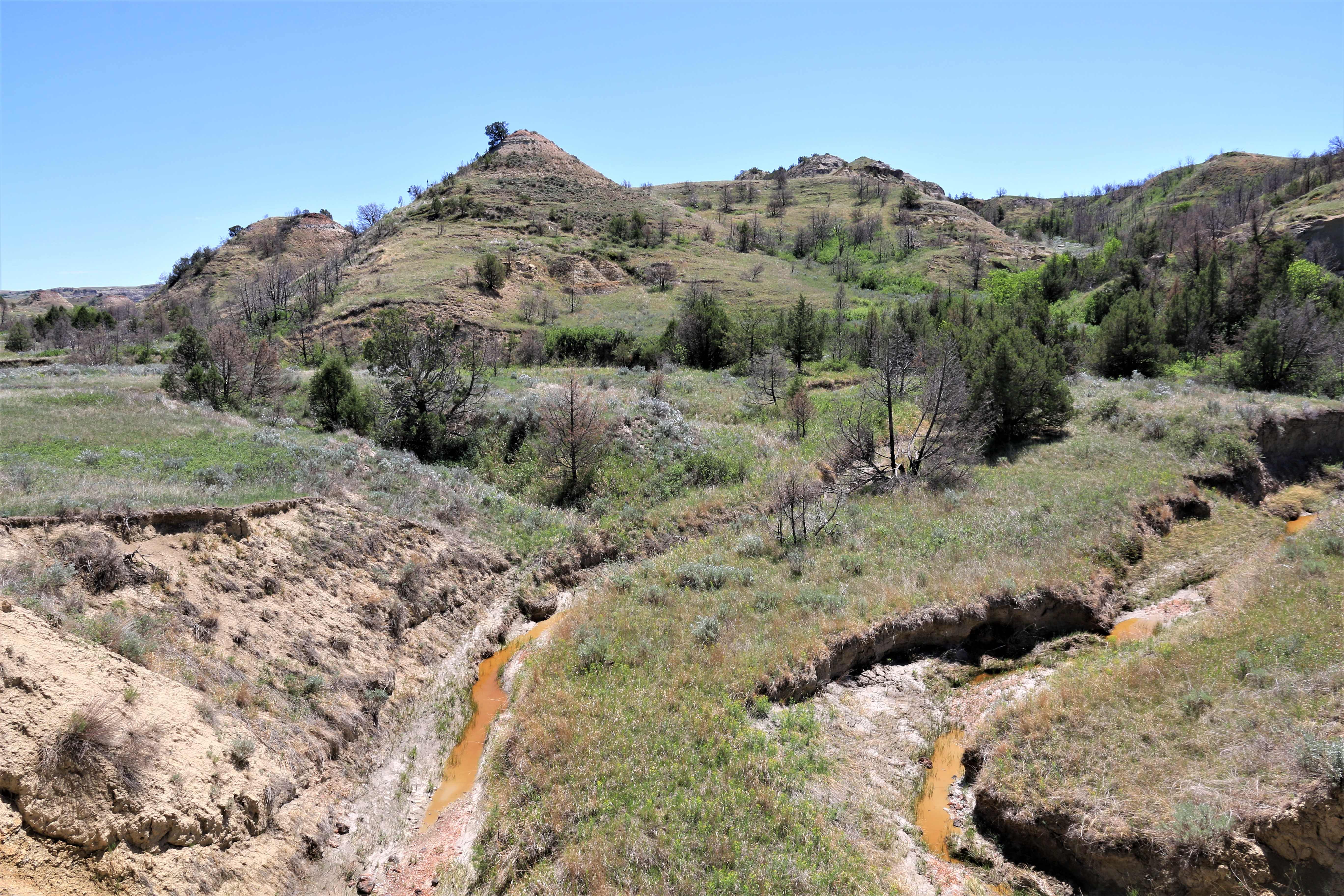 Theodore Roosevelt NP